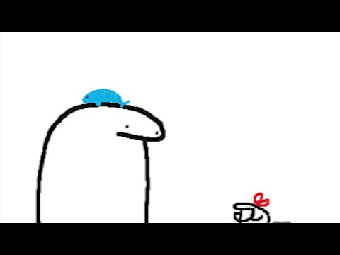 Flork of Cows: Video Gallery