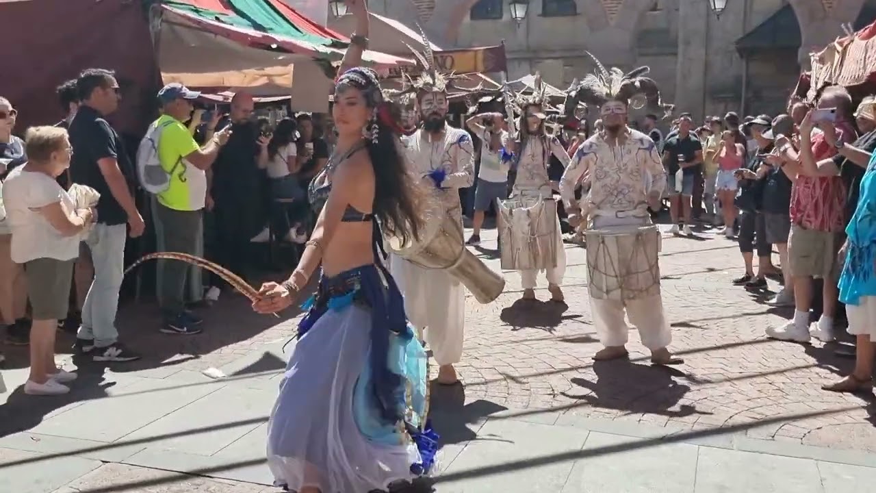 Avila. 25 Jornadas Medievales.