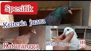 katurangga merpati juara/ciri khusus indukan berkualitas/unboxing trah yakuza, pasopati, sayur.