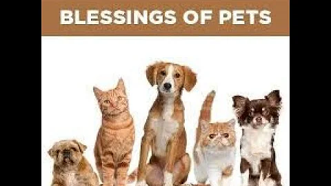 Simcha and Blessing of the Pets Shabbat Evening Se...