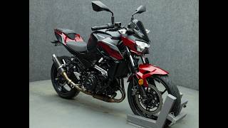 2019 KAWASAKI ER400 Z400 W/ABS - National Powersports Distributors