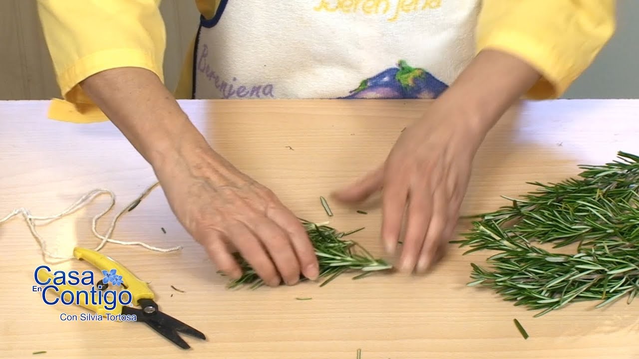 Como Aromatizar Tu Casa con Romero YouTube