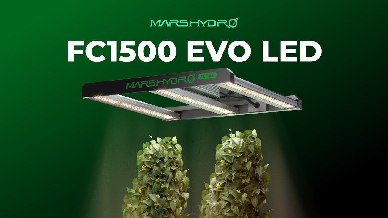 Best LED Grow Light for Small Grow Tents – FC1500 EVO - YouTube