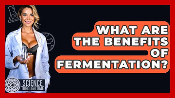 What Are The Benefits Of Fermentation? - Science Through Time