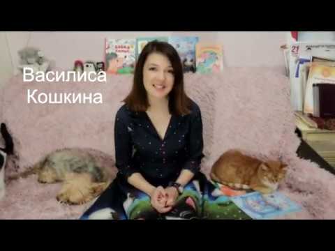 Василиса Кошкина. Сказки из кармашка.