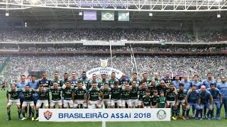 CAMPANHA DO PALMEIRAS NO BRASILEIRÃO DE 2018 (DO PRIMEIRO JOGO AO TÍTULO)
