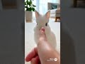 みんなかしこい