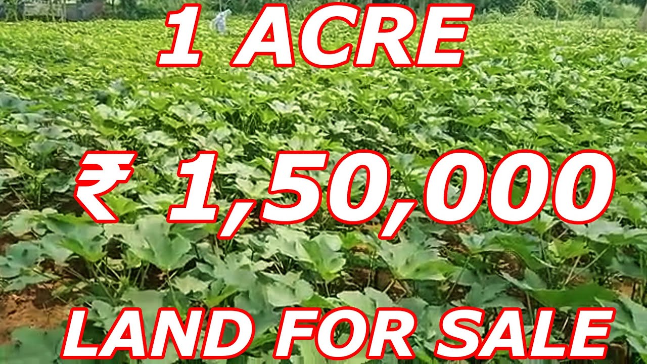 1 ACRE LAND FOR SALE VEGETABLE CULTIVATION LAND SALE COST ₹ 1