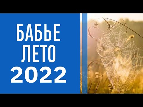Бабье лето 2022: когда оно наступит и от чего это зависит
