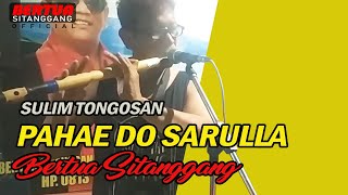 PAHAE DO SARULLA BERTUA SITANGGANG SULIM TONGOSAN