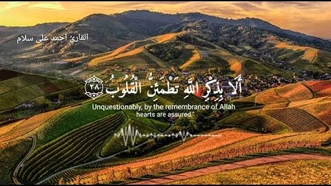 قرآن كريم بصوت هادئ وجميل | سورة النجم كامله #قران #quran