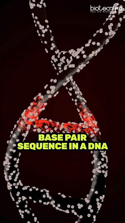 Mutation Explained in 60 Seconds #mutation #biology