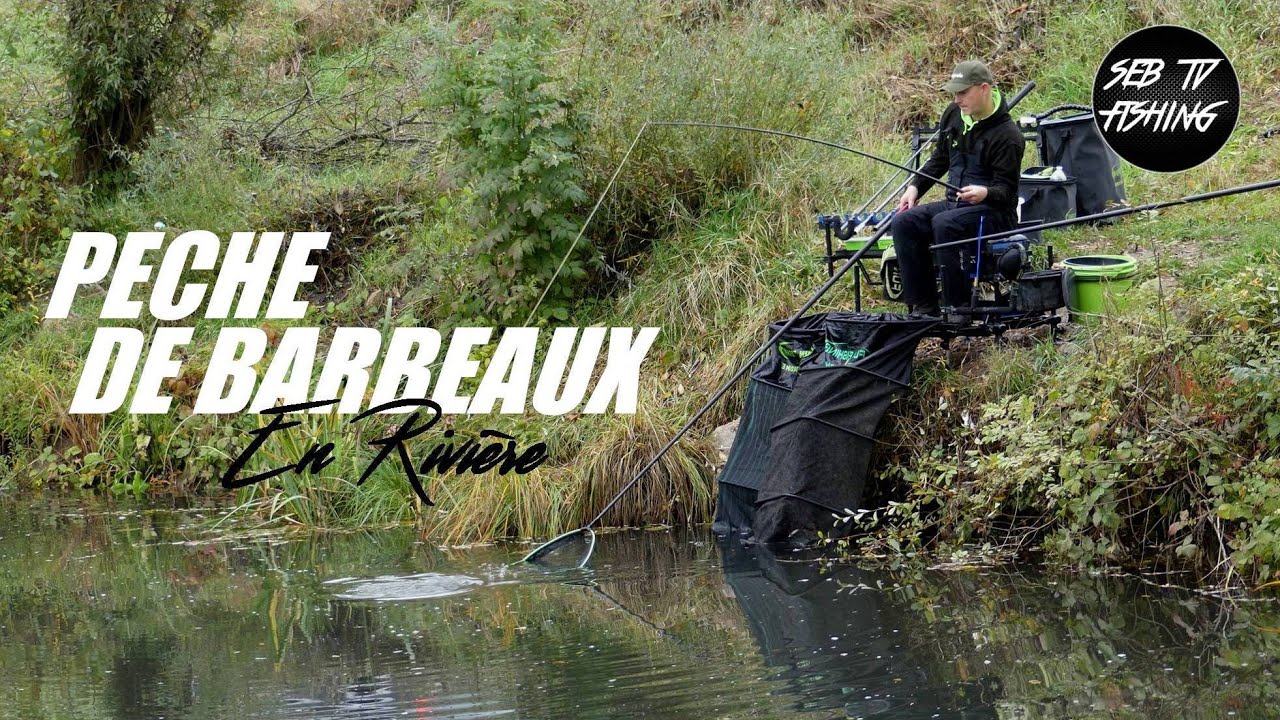 Pêche de Barbeaux en petite rivière 👊👊
