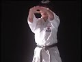 KANKU-DAI & BUNKAI por Mimura Yuki