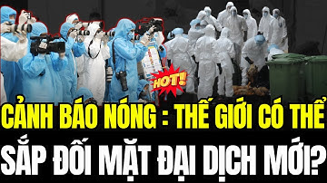 Cảnh báo virus H9N2: Nguy cơ đại dịch cúm gia cầm mới đang thích nghi với con người năm 2025