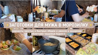 картинка: ✨ЗАГОТОВКИ ДЛЯ МУЖА✨ варианты простых и быстрых обедов и ужинов в заморозку 🥙облегчаем будни📋