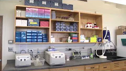 eDNA lab overview