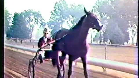 1973 Hambletonian- Flirth & Ralph Baldwin