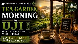 Download Lagu Tea Garden Morning in Uji 🌿 Japanese Lo-fi Jazz | Peaceful Café Music for Study & Relax Download Lagu Tea Garden Morning in Uji 🌿 Japanese Lo-fi Jazz | Peaceful Café Music for Study & Relax