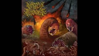 Maggot Apocalypse  Selftitled  Album