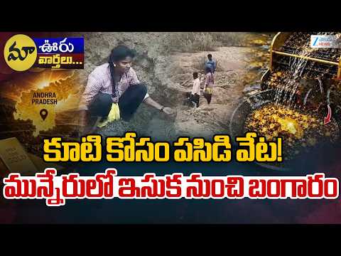 Munneru | Gold From Sand | కూటి కోసం పసిడి వేట! మున్నేరులో ఇసుక నుంచి బంగారం | ZEE Telugu News - ZEE24TELUGUNEWS