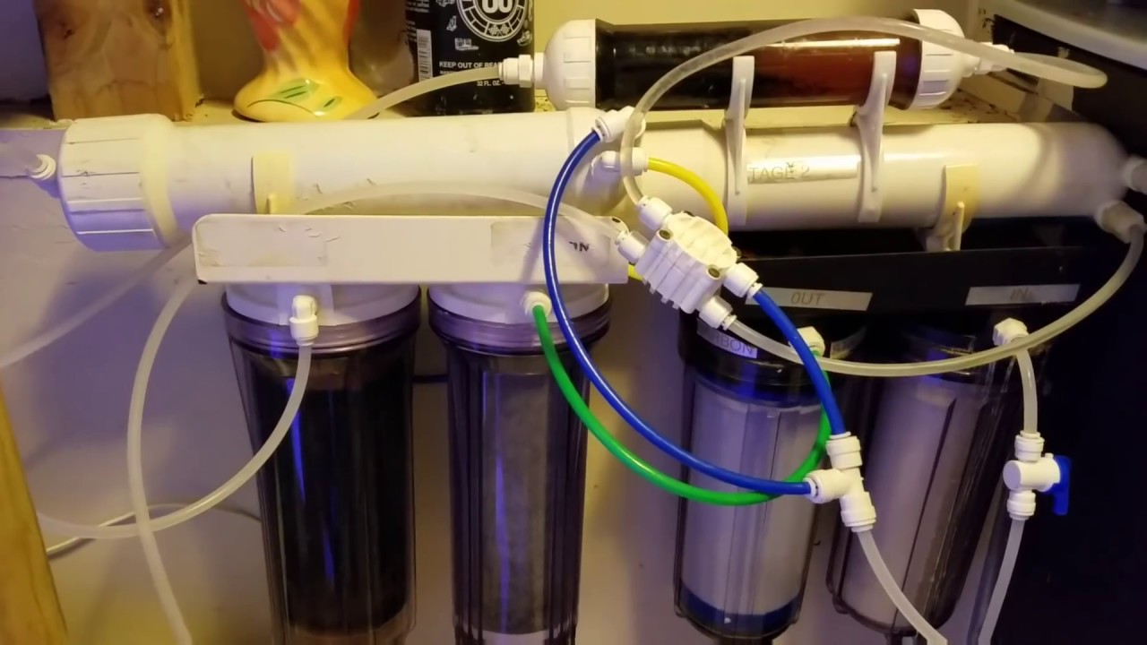 Osmosis en mi acuario YouTube