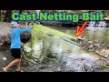 Cast Netting Bait for BIG Bass!