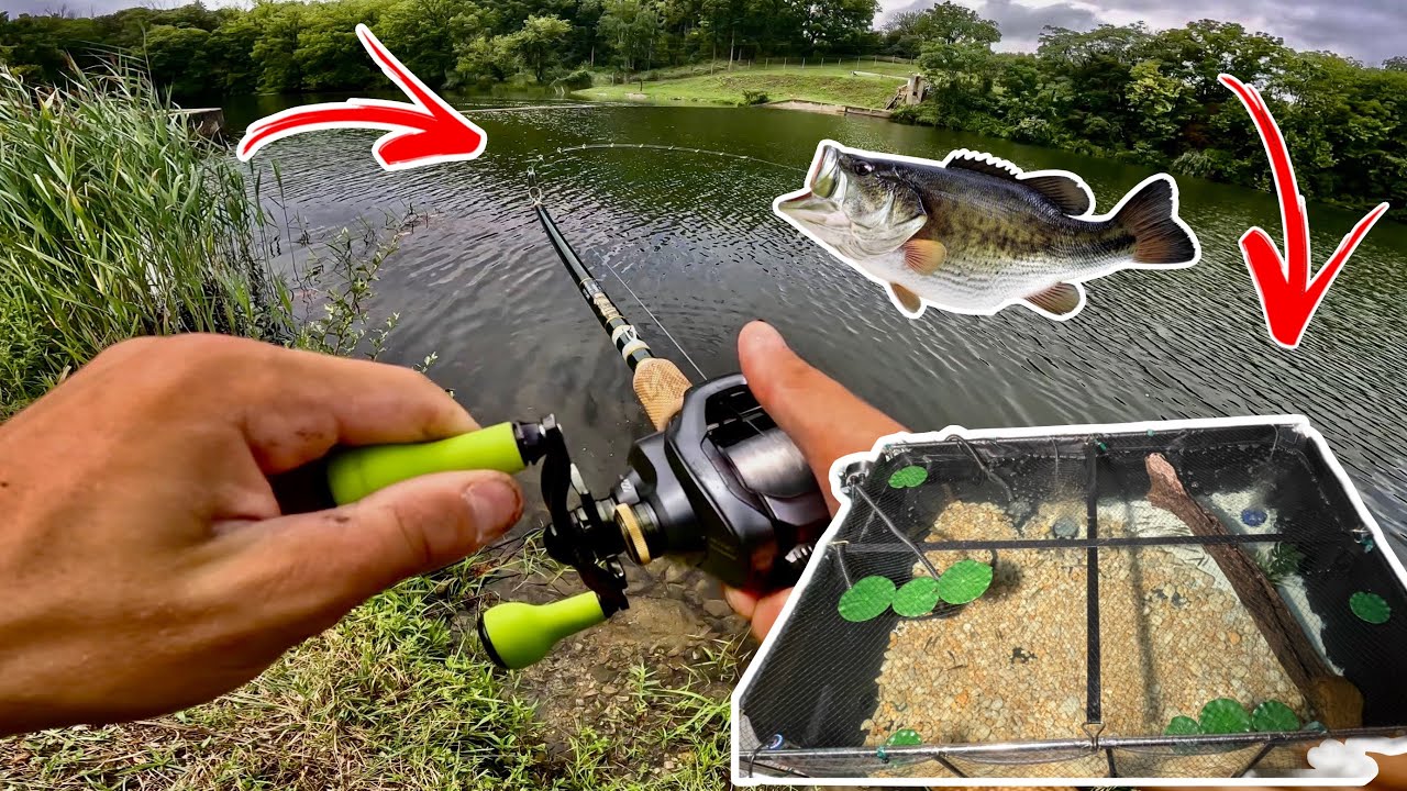 CATCHING BIG BASS For My POOL POND!