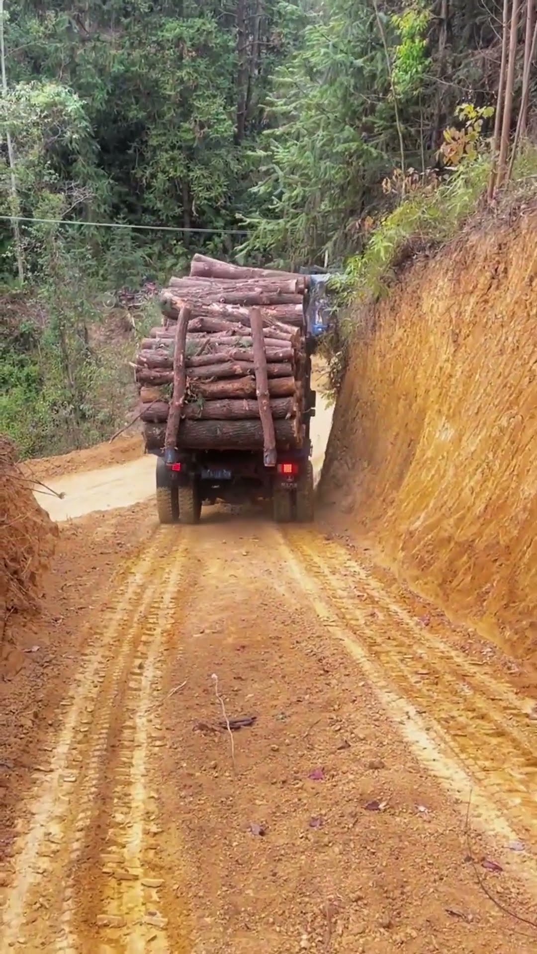 The process of carrying timber trucks downhill- Good tools and machinery make work easy