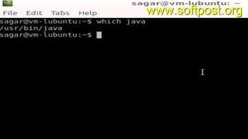 How to find where java is installed in Solaris