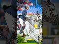 Mini Cornet 39 @-Southern Equine- #horse #equestrian #edit #shorts #animals #sports