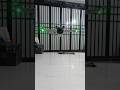 Best drone test fly #shorts