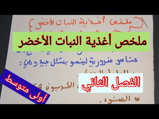 ملخص أغذية النبات الأخضر/العلوم الطبيعية/السنة الأولى متوسط 2024