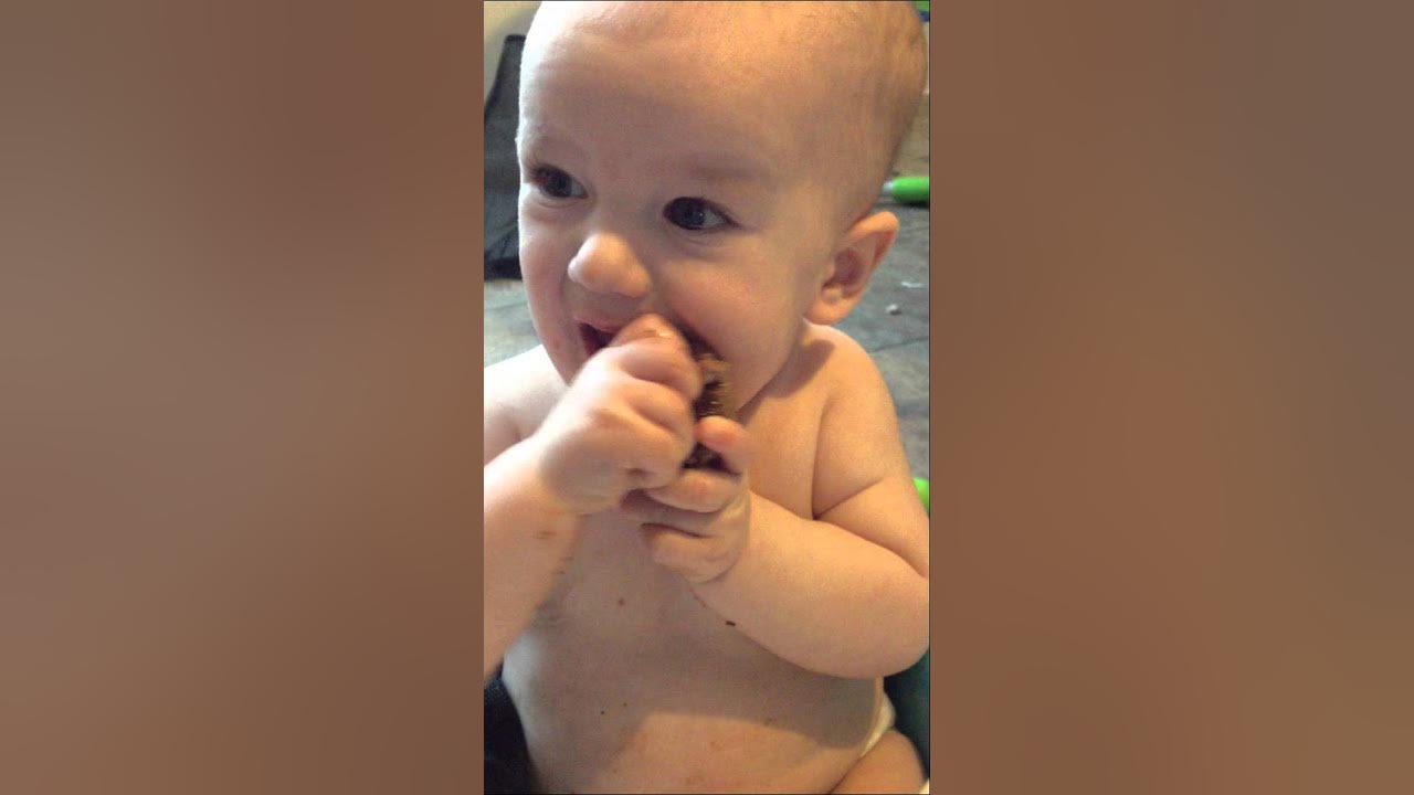 STEAK it's whats for dinner! (baby led weaning) YouTube