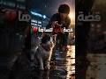 A Cat He Rescued Waited For Him Until His Last Breath And Then Kept Waiting Forever 