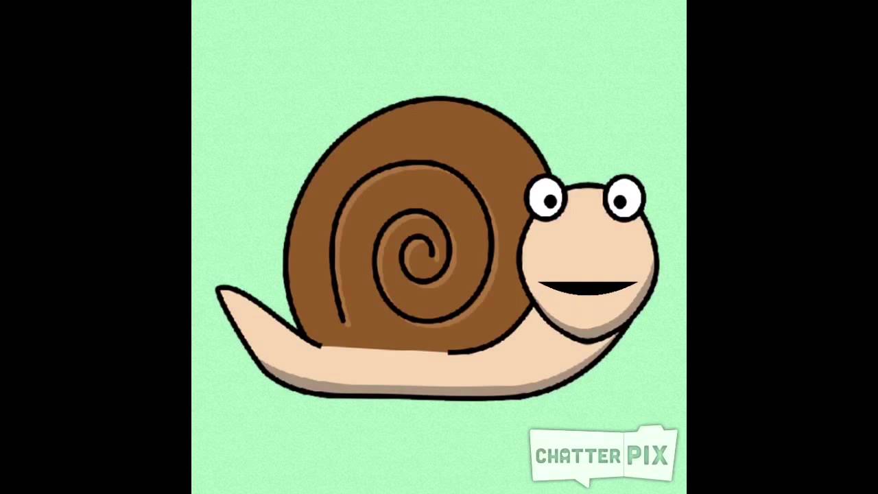 camera iphone 8 plus apk Our Snail Predictions