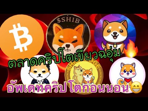 ตลาด Crypto เขียวฉอุ่ม อัพเดทคริปโตก่อนนอน😁🔥🚀