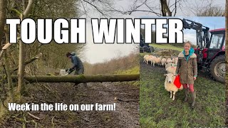 FARM LIFE DECEMBER : STORMS AND DAMAGE !