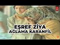 EŞREF ZİYA  "AĞLAMA KARANFİL"
