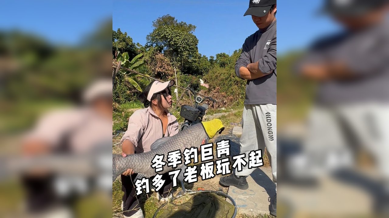 冬季钓巨青，老板急得喊停！
