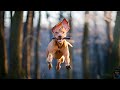 Funniest Dog Fail Compilation 2021 [Funny Pets]