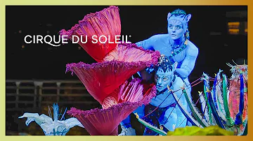 TORUK – The First Flight | Tapis Rouge/World Premiere | Cirque du Soleil