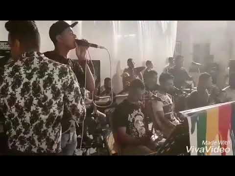 فرقة النورس نديم شنان خلود ساها تي 2018