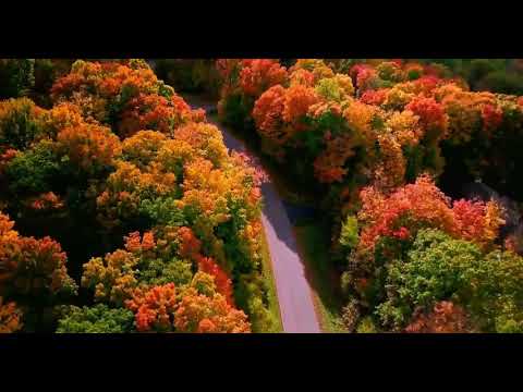 Drone Captures Vivid Fall Foliage Over Wisconsin’s Mosinee Hill