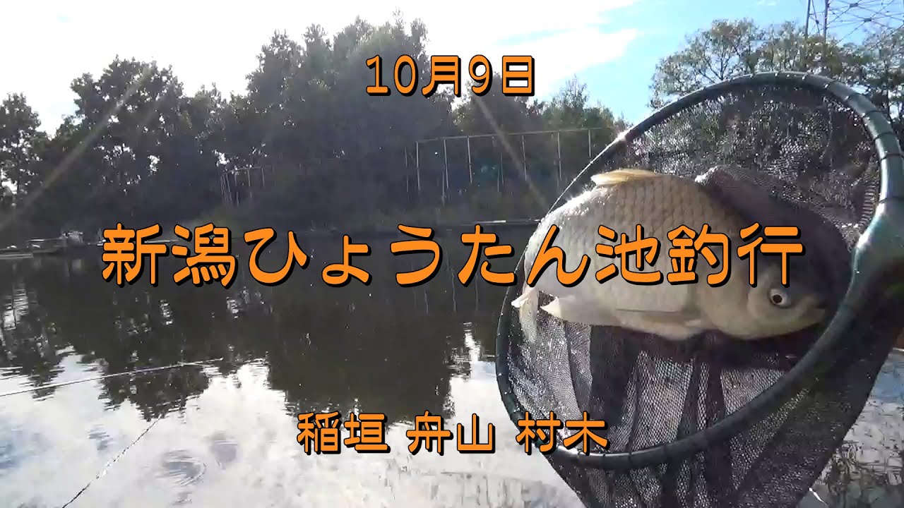 10月9日 新潟ひょうたん池釣行 - YouTube