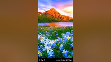 الذين ينقضون عهد الله من بعد ميثاقه ويقطعون ما أمر الله به - سورة البقرة آية 27 - عبدالباسط عبدالصمد