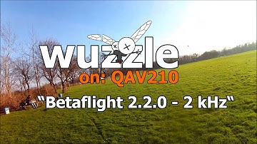 wuzzle on: QAV210 - Betaflight 2.2.0 RC1 - 2kHz