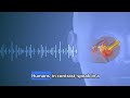 Sound Waves in Nature: Exploring Infrasonic, Audible, and Ultrasonic Sounds for Grade 7 Physics