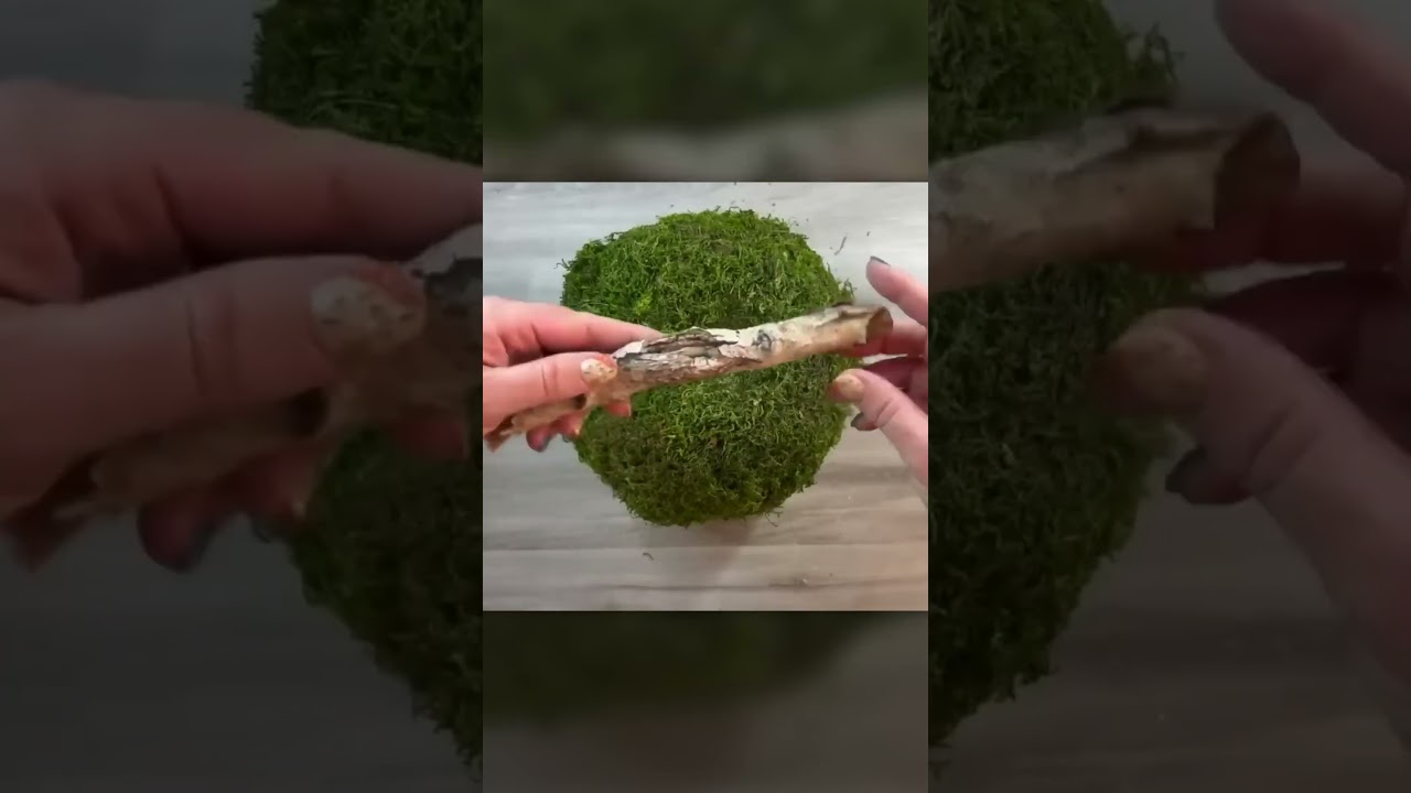 Green Mossy Pumpkin for Fall #diy #pumpkin #craftideas
