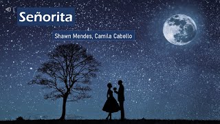 Shawn Mendes, Camila Cabello - Senorita (Lyrics)